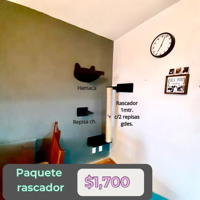 Paquete Rascador color Natural