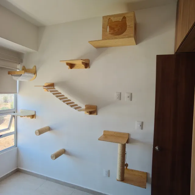 Instalación Catsitas en casa de un cliente