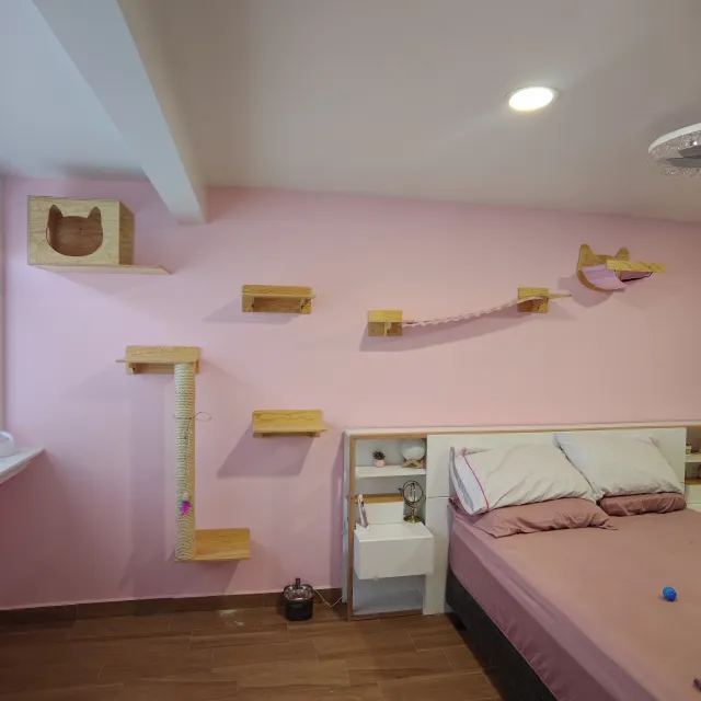 Instalación Catsitas en casa de un cliente