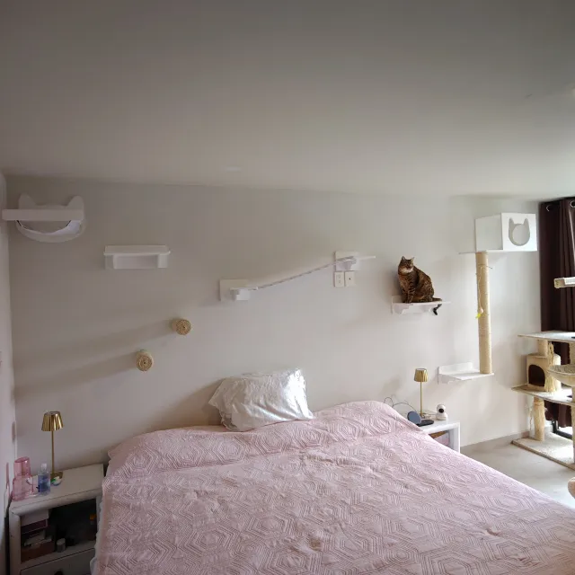 Instalación Catsitas en casa de un cliente